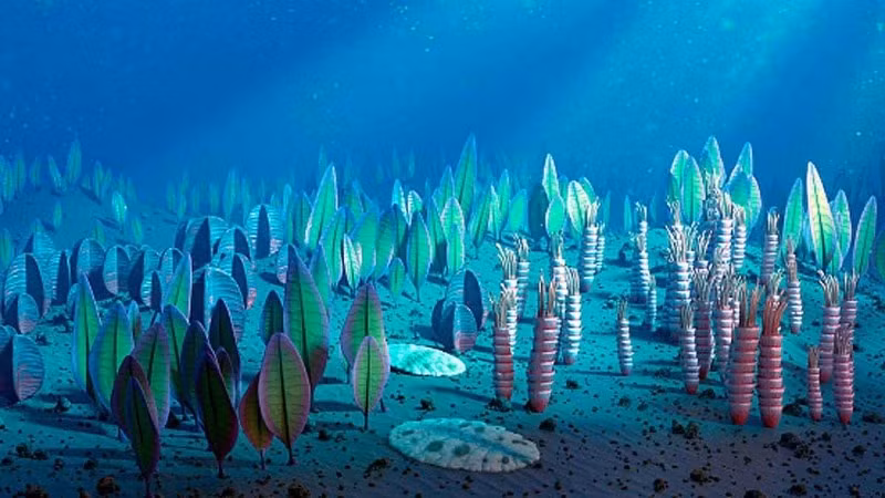 Gene “quái vật biển” 500 triệu năm tồn tại ở người