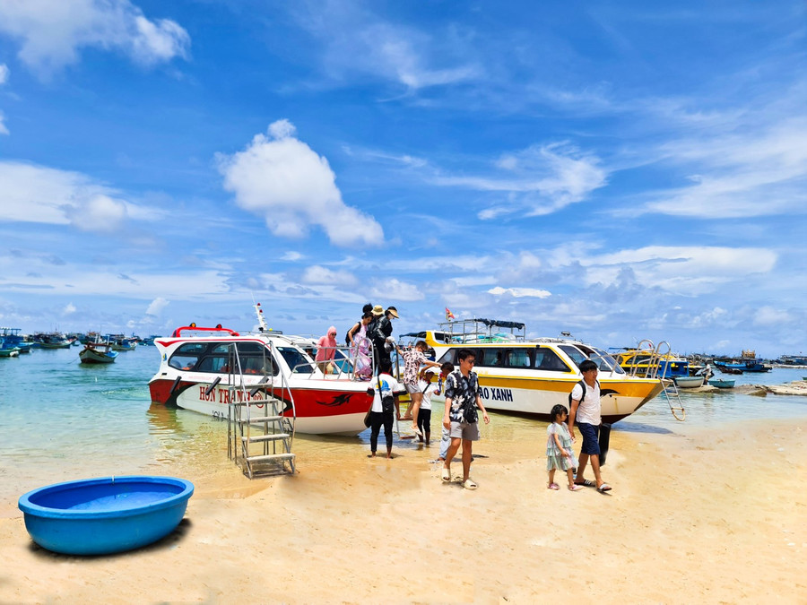 Bạn có thể dễ dàng di chuyển ra hòn Tranh bằng cano hoặc thuyền nhỏ. Thời điểm lý tưởng nhất để du lịch hòn Tranh là khoảng tháng 6 đến tháng 12.