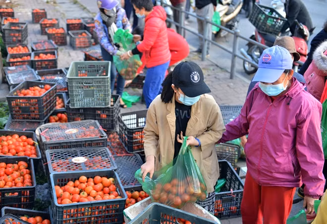 Tại Hà Nội, nhiều điểm bán nông sản giúp nông dân Hải Dương được dựng lên như: số 123 Trung Kính (Cầu Giấy - Hà Nội), đường Cổ Linh (Long Biên - Hà Nội), đường Giải Phóng,.... Ảnh: CAND