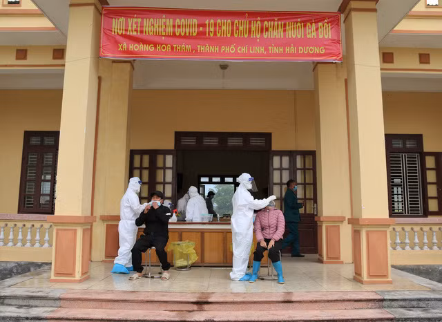 Tại xã Hoàng Hoa Thám (TP Chí Linh, Hải Dương) hiện vẫn còn 1,2 triệu con gà đồi chưa được tiêu thụ. Trong ảnh là chính quyền địa phương đã ưu tiên xét nghiệm cho 90 chủ trang trại chăn nuôi đang có gà đang tới lứa xuất bán hôm 25/2/2021. Ảnh: Giadinh