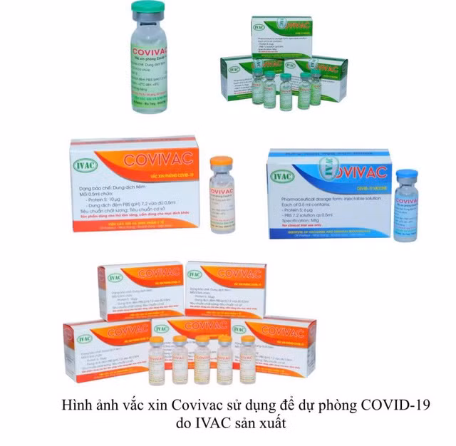Ngày 15/3, Việt Nam sẽ tiêm thử nghiệm tiêm vắc xin COVID-19 thứ 2 COVIVAC ảnh 1