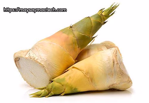 Măng tre có nhiều chất xơ nên tốt cho những ai béo phì cần chế độ ăn kiêng để giảm bớt cân.