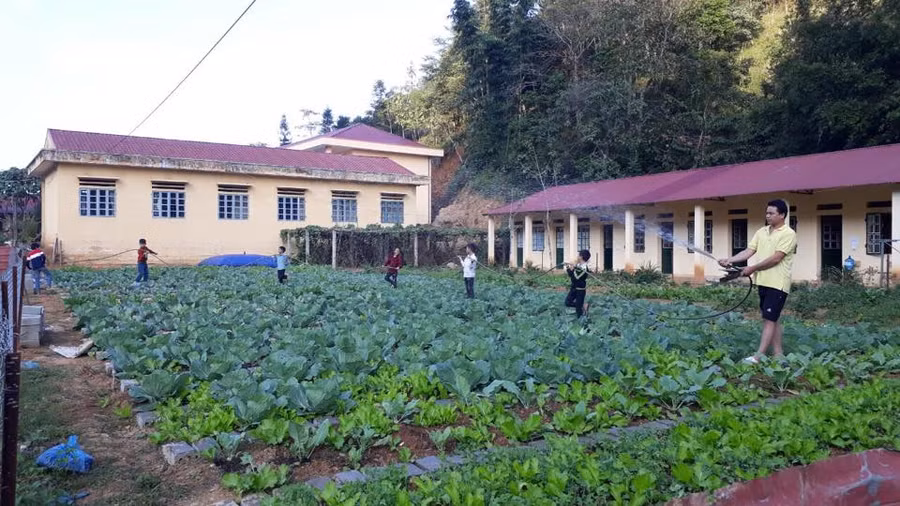 Học sinh được trải nghiệm nhiều hơn với MHTHM