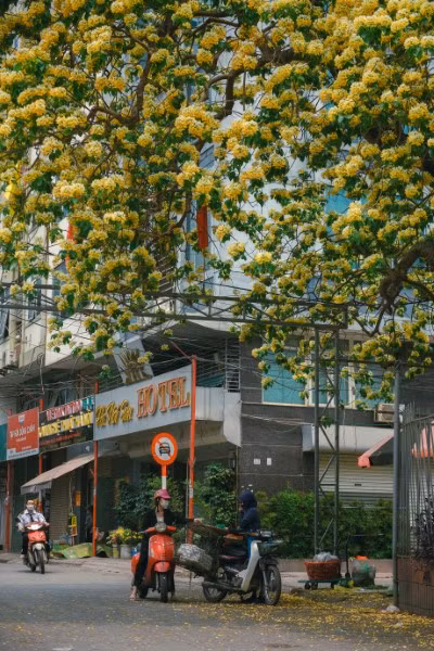 Mê mẩn mùa hoa... bún Hà Nội ảnh 3