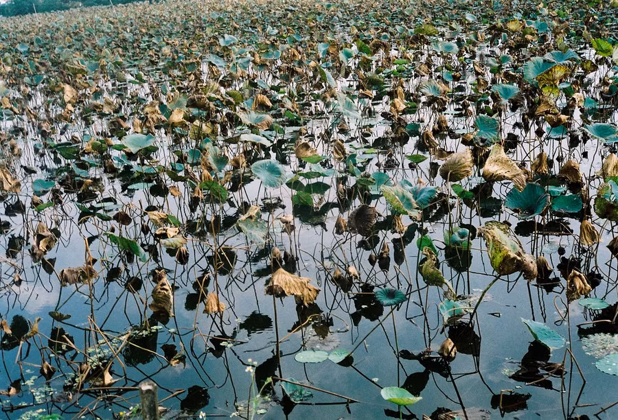 Ảnh minh họa/INT.