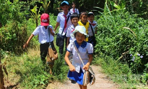 Ảnh mang tính chất minh họa.