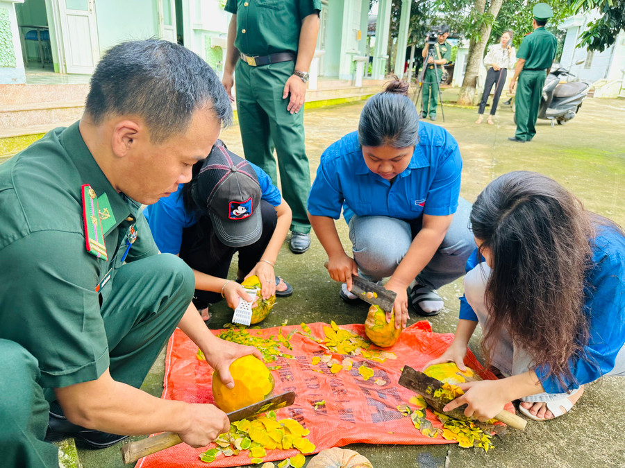 Bộ đội Biên phòng và thanh niên tình nguyện đang gọt bí.