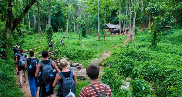 Hình ảnh trong rừng quốc gia Cúc Phương.