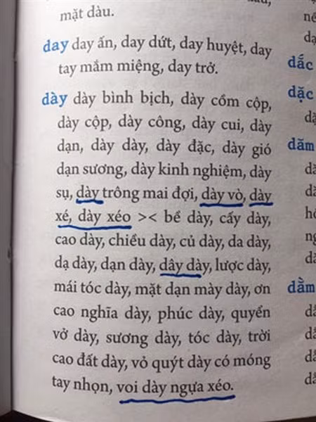 Một số lỗi chính tả trong cuốn sách “Từ điển chính tả tiếng Việt”.