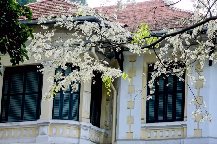 Tô điểm cho ngôi nhà.