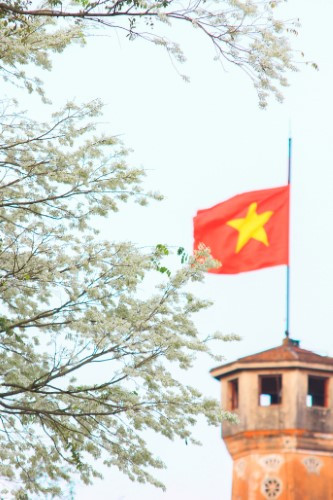 Đua nhau khoe sắc.