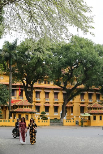 Lưu lại khoảnh khắc cùng hoa sưa.