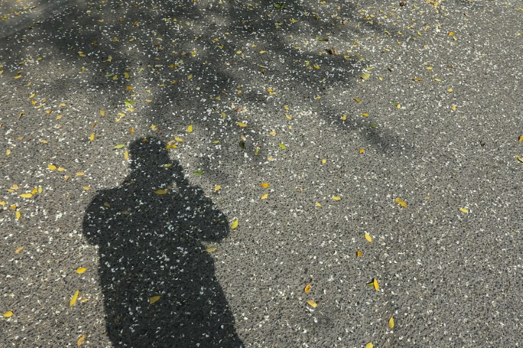 Thợ ảnh “săn” hoa.