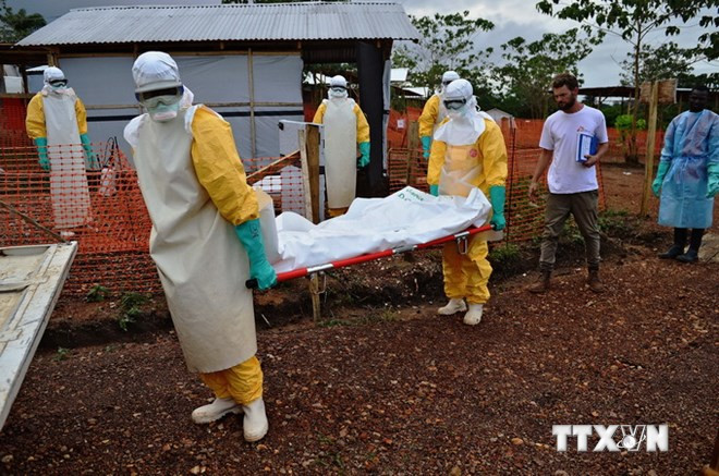 Australia đóng góp 1 triệu AUD cho WHO kiểm soát dịch Ebola ảnh 1 Australia đóng góp 1 triệu AUD cho WHO kiểm soát dịch Ebola ảnh 1