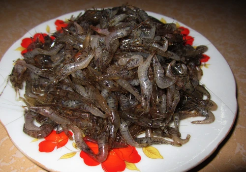Tép rang lá chanh - món ăn dân dã dễ làm
