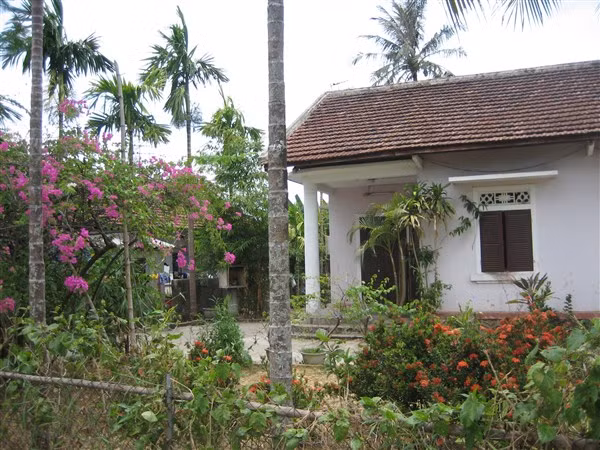 Vườn ai mướt quá (1). Ảnh: Phanxipăng.