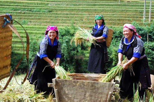 Sự nghiệp giảm nghèo nói chung đã đạt được nhiều thành tựu, được quốc tế ghi nhận. (Ảnh minh hoạ) Sự nghiệp giảm nghèo nói chung đã đạt được nhiều thành tựu, được quốc tế ghi nhận. (Ảnh minh hoạ)