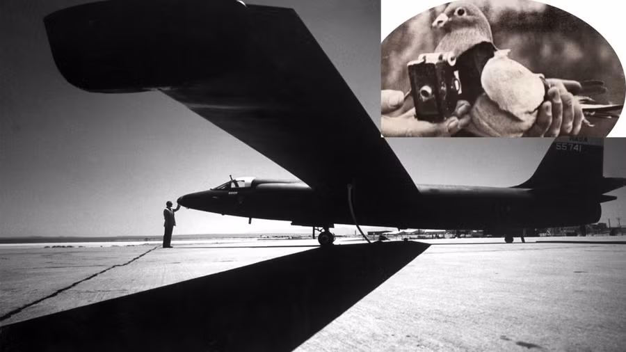 Bồ câu gắn máy ảnh và máy bay U2.