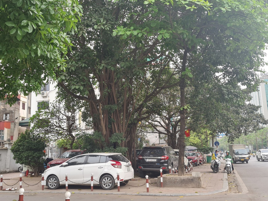 Tại cổng Đình Kim Liên (phường Phương Liên), một phần không gian bị chiếm dụng làm khu vực đỗ, nhận trông giữ xe Tại cổng Đình Kim Liên (phường Phương Liên), một phần không gian bị chiếm dụng làm khu vực đỗ, nhận trông giữ xe