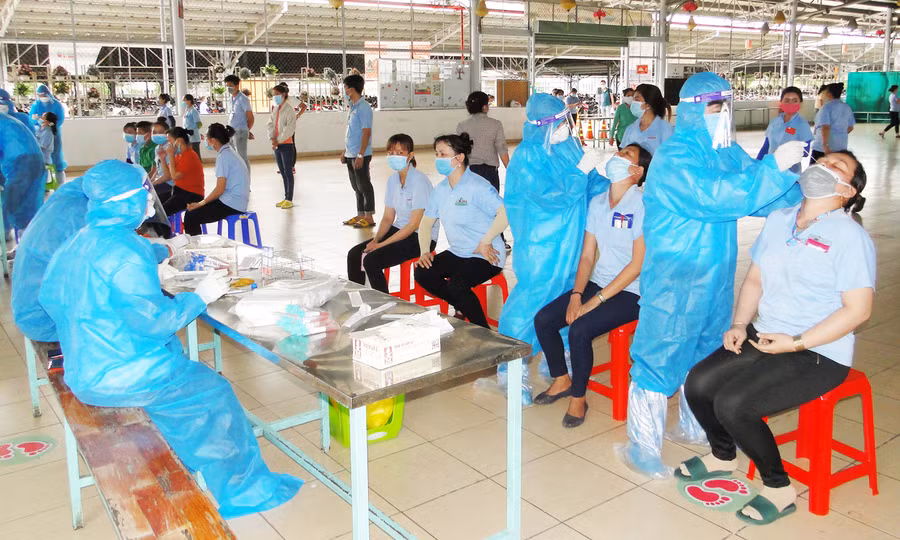Toàn bộ người lao động tại Công ty TNHH Freview thuộc Khu công nghiệp Tân Hương (huyện Châu Thành) đã được lấy mẫu xét nghiệm tầm soát Covid-19. Nguồn: Báo Ấp Bắc.