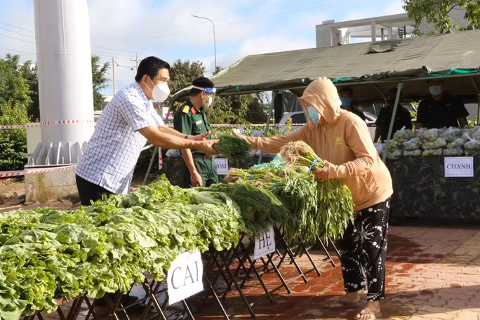 Những bó rau, củ nghĩa tình được bộ đội ở Long An tự tai hái tặng người dân. Nguồn: NLĐ.