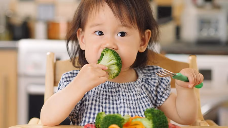 Chế độ ăn, thực phẩm ít chất xơ có thể khiến trẻ dễ bị táo bón hơn. Ảnh minh họa: INT