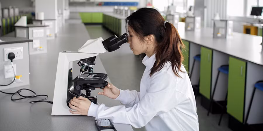 Giáo dục STEM tại Mỹ chịu ảnh hưởng khi sinh viên Trung Quốc giảm. Giáo dục STEM tại Mỹ chịu ảnh hưởng khi sinh viên Trung Quốc giảm.