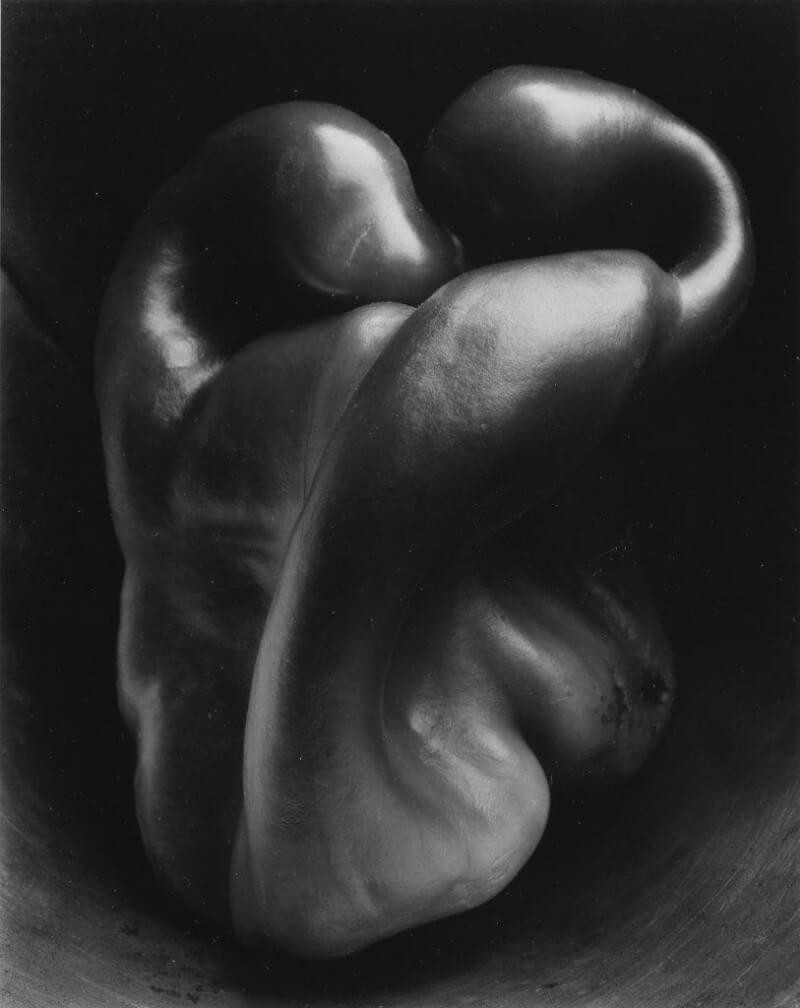 Tác phẩm &apos;Ớt chuông&apos; (1930) của Edward Weston, Bảo tàng Nghệ thuật hiện đại San Francisco, Mỹ.