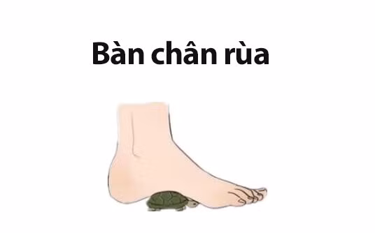 Phụ nữ sở hữu tướng chân quý nhân, đi đến đâu tài vận theo đến đó, cả đời sống trong vinh hoa phú quý, tình cảm viên mãn hạnh phúc-5