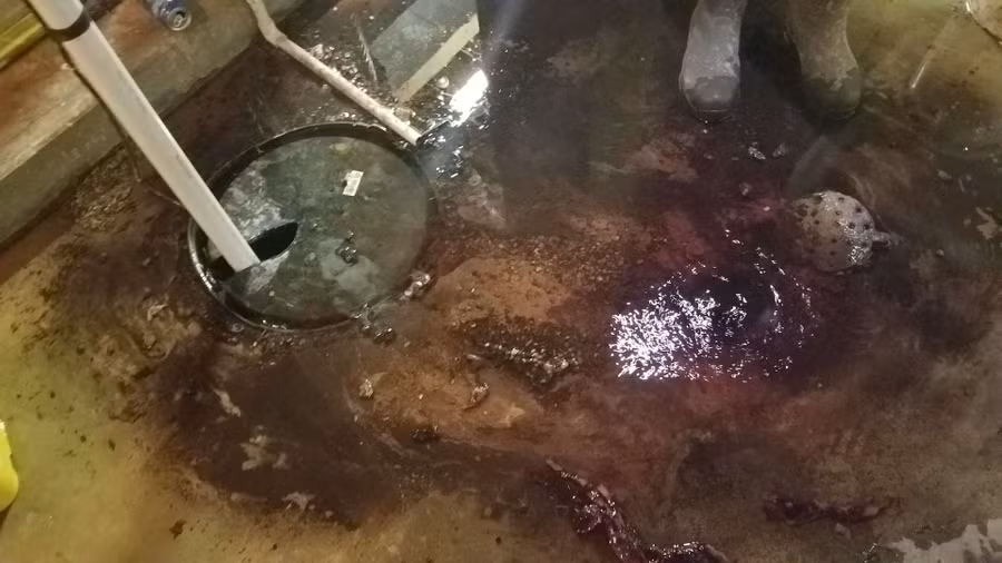 xuong ham lay may khoan, ron nguoi phat hien canh kinh hoang duoi nen ham hinh anh 2