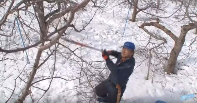 can canh quy trinh trong tao mat dat nhat the gioi, 1 canh chi 1 qua hinh anh 3