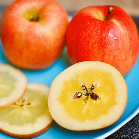 can canh quy trinh trong tao mat dat nhat the gioi, 1 canh chi 1 qua hinh anh 11