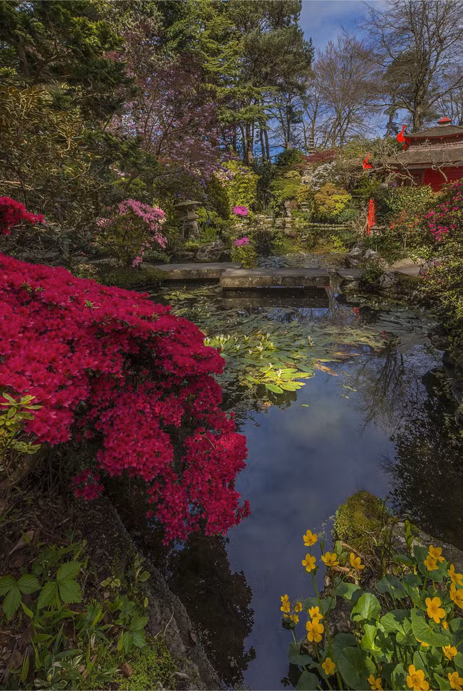 20 khu vườn ở nước Anh đẹp mơ màng bất cứ ai cũng mong muốn được sở hữu - Ảnh 1.