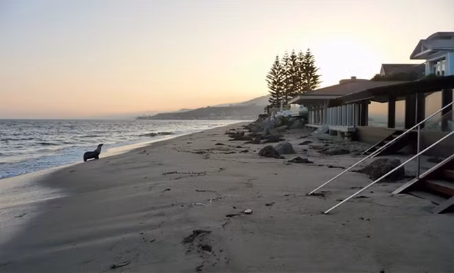 Biet thu nghi mat 20 trieu USD cua tai tu 