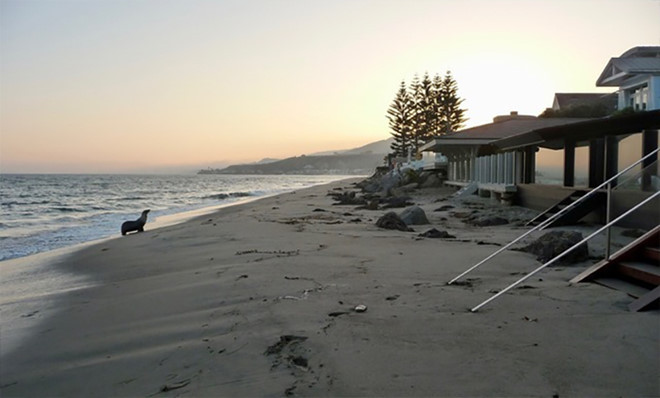 Biet thu nghi mat 20 trieu USD cua tai tu 