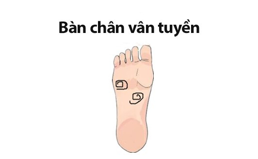 Ảnh minh họa.