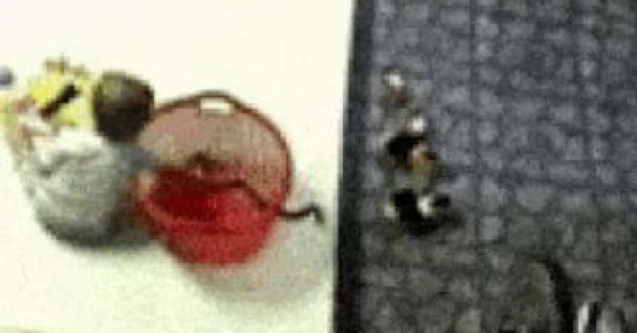 Ảnh cắt từ clip.