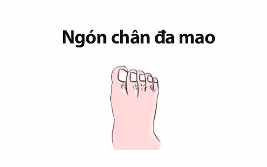 Phụ nữ sở hữu tướng chân quý nhân, đi đến đâu tài vận theo đến đó, cả đời sống trong vinh hoa phú quý, tình cảm viên mãn hạnh phúc-4