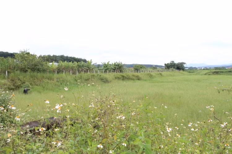 Các ao, hồ của Trung tâm giống thủy sản nước ngọt cạn trơ đáy, cỏ mọc um tùm.