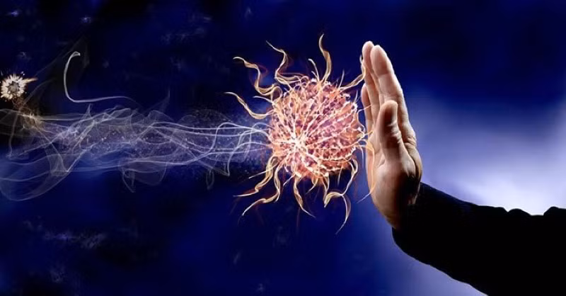 Hệ miễn dịch là yếu tố nền tảng giúp cơ thể khỏe mạnh. Ảnh minh họa.