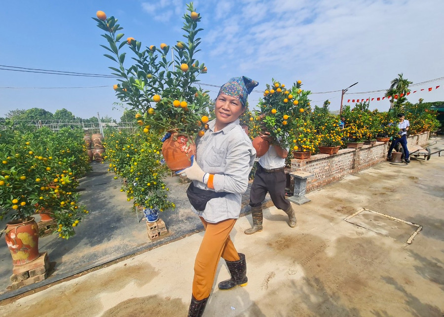 “Khi đời sống người dân khá lên, nhu cầu về đời sống tinh thần cũng được nâng lên. Khách hàng chơi cây cảnh đòi hỏi cây phải đẹp hơn, nghệ thuật hơn. Chính vì vậy, người trồng cây cảnh cũng phải nghiên cứu, học hỏi, thay đổi tư duy, tạo ra cây có kiểu dáng mới lạ, độc để thu hút người chơi” - chị Hà Thị Vệ, người chăm sóc cây, chia sẻ. “Khi đời sống người dân khá lên, nhu cầu về đời sống tinh thần cũng được nâng lên. Khách hàng chơi cây cảnh đòi hỏi cây phải đẹp hơn, nghệ thuật hơn. Chính vì vậy, người trồng cây cảnh cũng phải nghiên cứu, học hỏi, thay đổi tư duy, tạo ra cây có kiểu dáng mới lạ, độc để thu hút người chơi” - chị Hà Thị Vệ, người chăm sóc cây, chia sẻ.