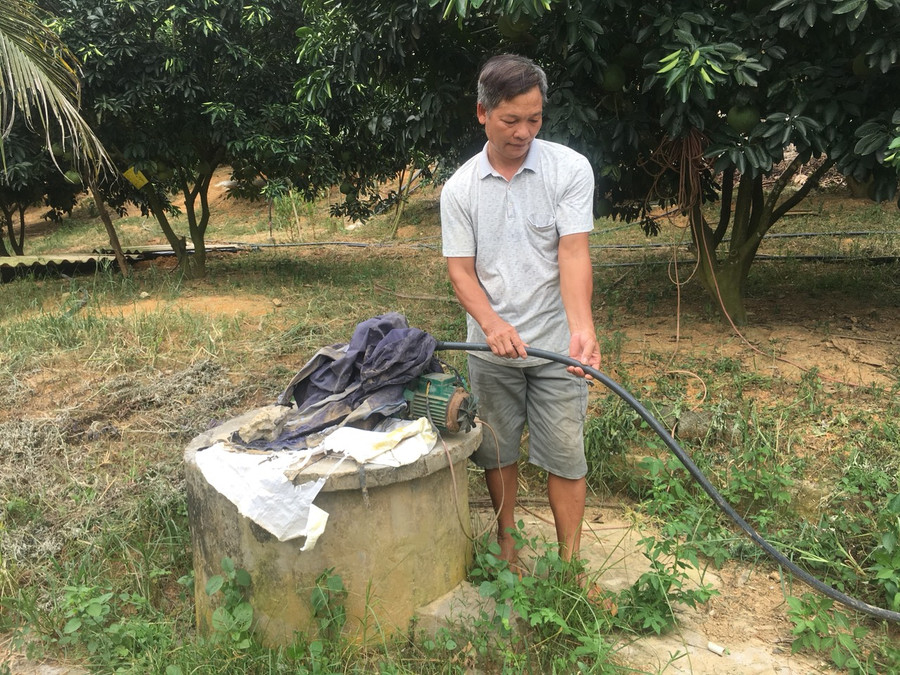 Ông Hậu đầu tư vốn khoan giếng, lắp đặt hệ thống nước tưới cho vườn bưởi đỏ. Ông Hậu đầu tư vốn khoan giếng, lắp đặt hệ thống nước tưới cho vườn bưởi đỏ.