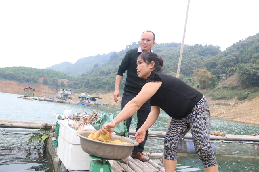 Khách hàng đến mua cá của gia đình chị Sen. Khách hàng đến mua cá của gia đình chị Sen.