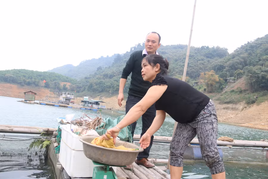 Khách hàng đến mua cá của gia đình chị Sen.