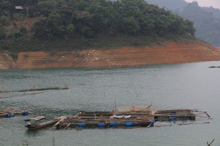 Tận dụng diện tích mặt nước lòng hồ sông Đà, nhiều hộ dân đã tiến hành nuôi cá mang lại thu nhập cao. Tận dụng diện tích mặt nước lòng hồ sông Đà, nhiều hộ dân đã tiến hành nuôi cá mang lại thu nhập cao.