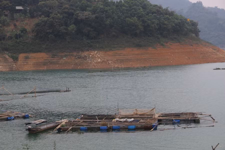 Tận dụng diện tích mặt nước lòng hồ sông Đà, nhiều hộ dân đã tiến hành nuôi cá mang lại thu nhập cao.