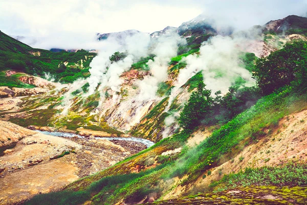 Cuối xuân, đầu hè, Geysers đầy cỏ xanh, thu hút động vật đến... tìm chết