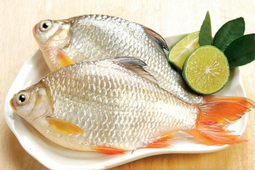Cá diếc và những bài thuốc tuyệt vời cho sức khỏe - ảnh 1 Hình ảnh Cá diếc và những bài thuốc tuyệt vời cho sức khỏe số 1