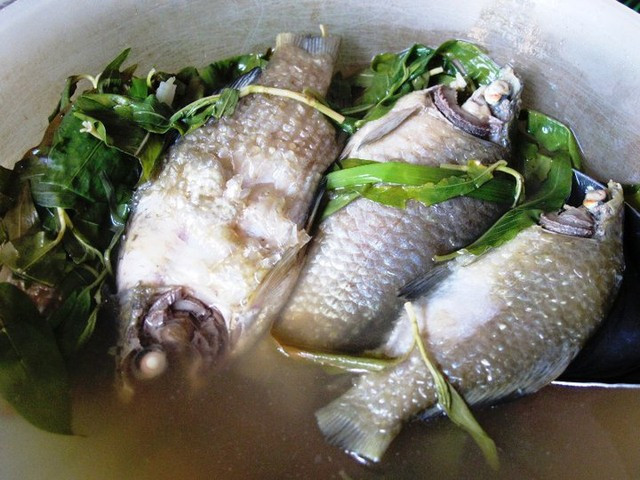 Cá diếc và những bài thuốc tuyệt vời cho sức khỏe - ảnh 2 Hình ảnh Cá diếc và những bài thuốc tuyệt vời cho sức khỏe số 2