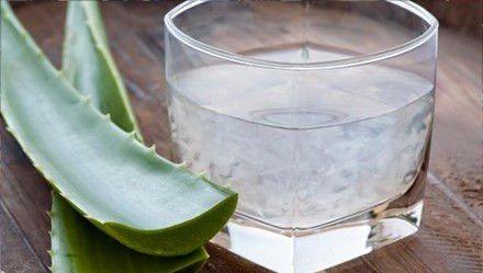 Lợi ích sức khỏe tuyệt vời của nước ép lô hội ảnh 1 Ảnh minh họa